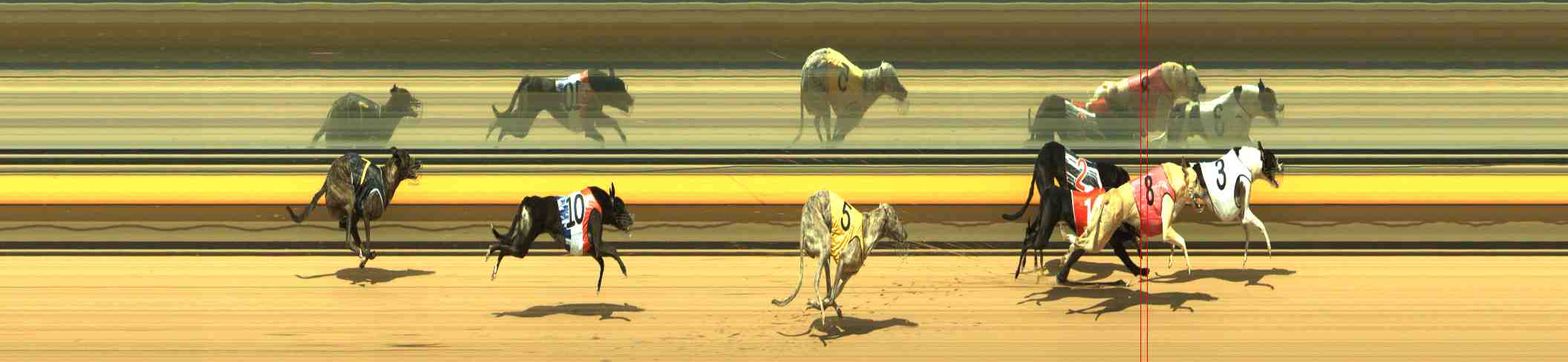 Photo finish for Horsham Race 4