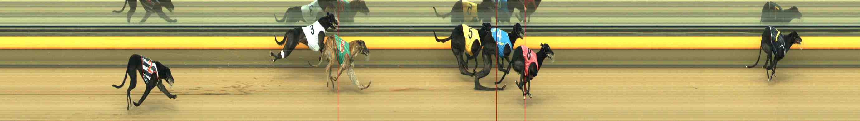 Photo finish for Horsham Race 6