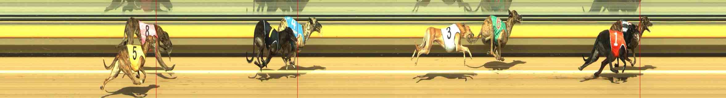 Photo finish for Horsham Race 7
