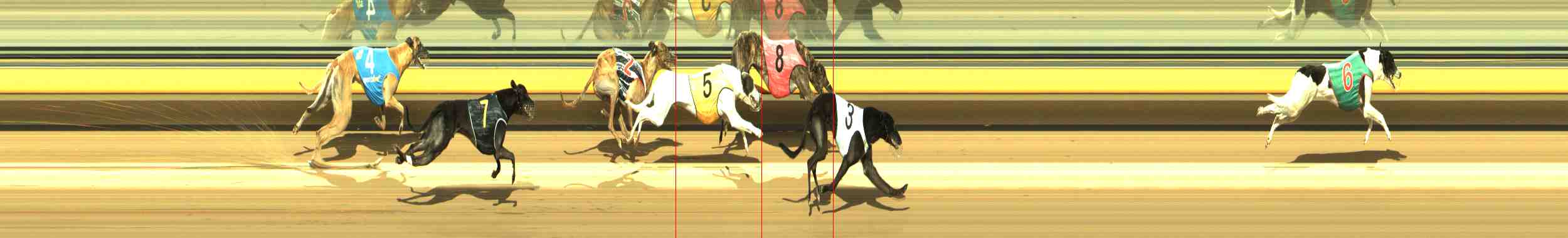 Photo finish for Horsham Race 8