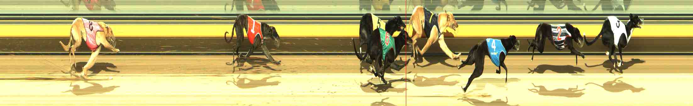 Photo finish for Horsham Race 9