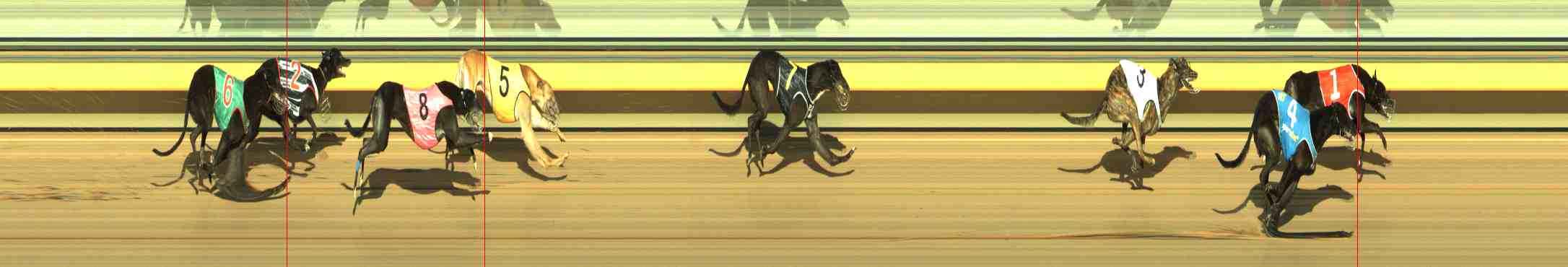 Photo finish for Horsham Race 11