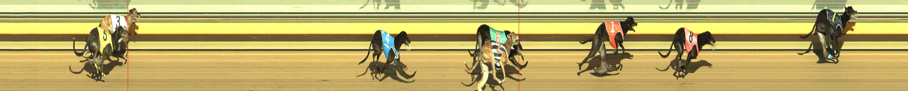 Photo finish for Horsham Race 12