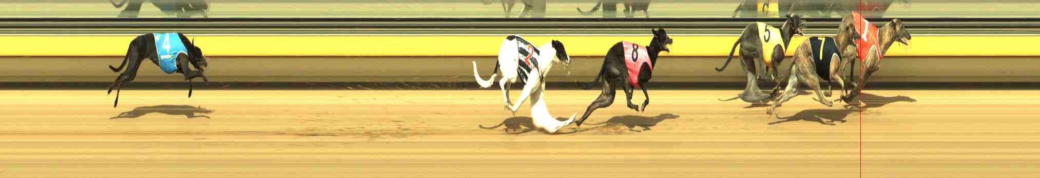 Race result finish photo