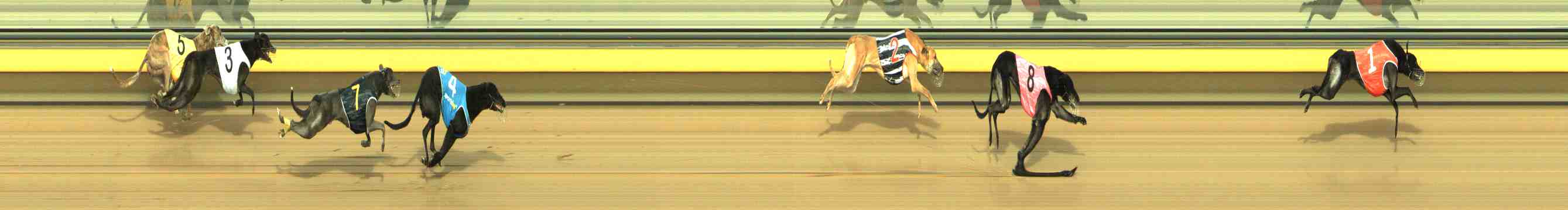 Race result finish photo