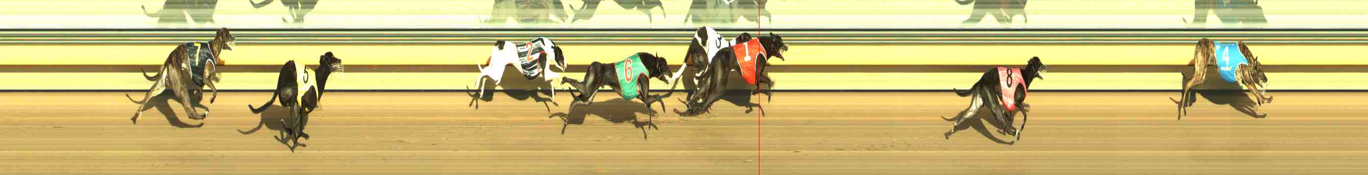 Race result finish photo