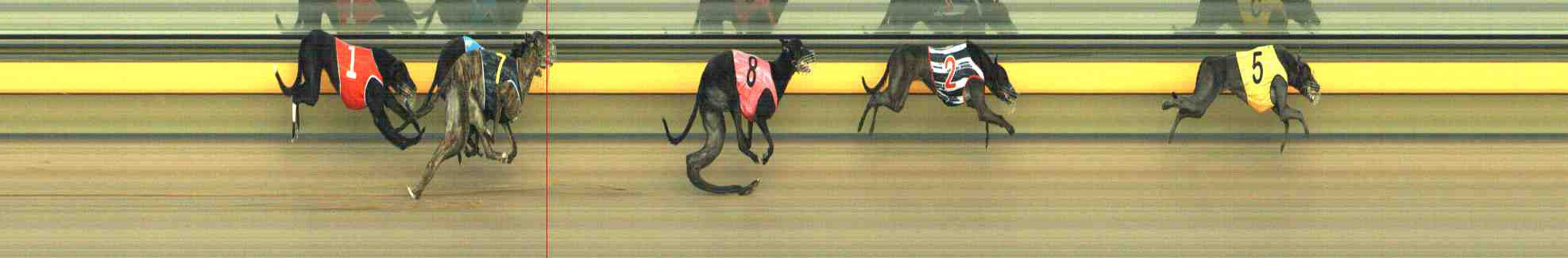 Race result finish photo