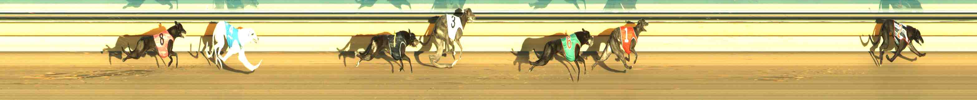 Race result finish photo