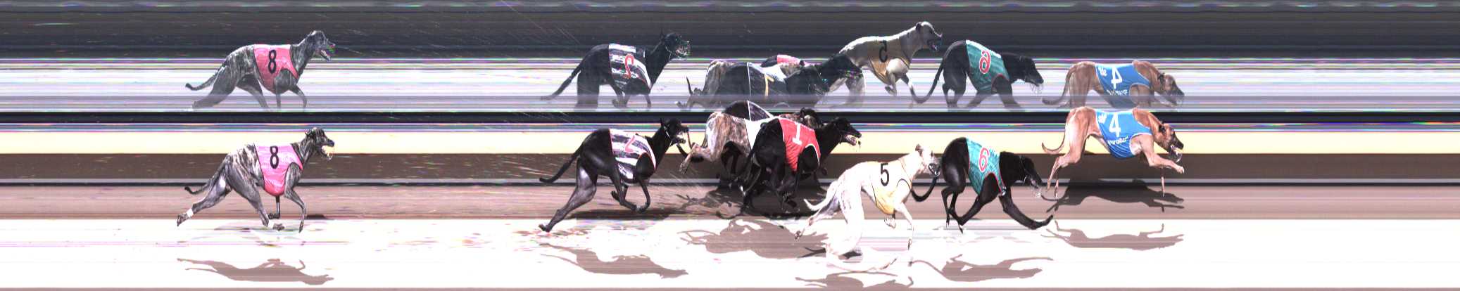 Race result finish photo