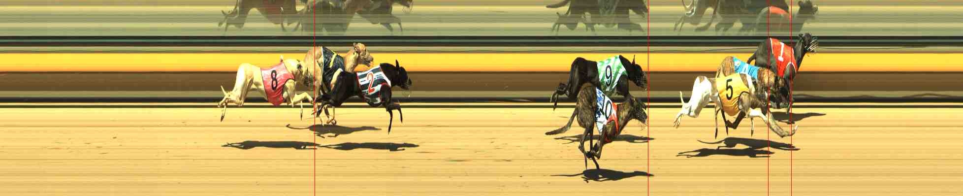 Photo finish for Horsham Race 2