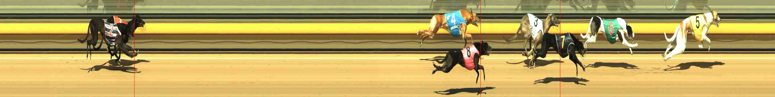 Photo finish for Horsham Race 3