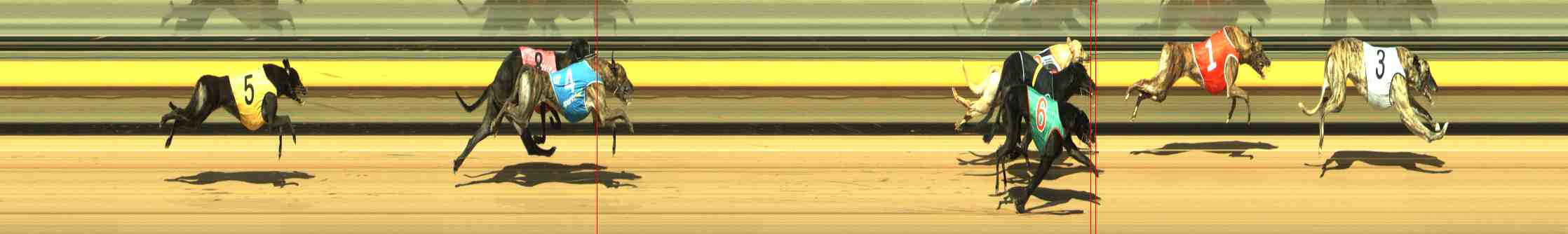 Photo finish for Horsham Race 4