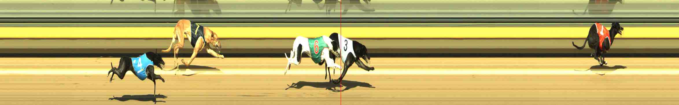 Photo finish for Horsham Race 5