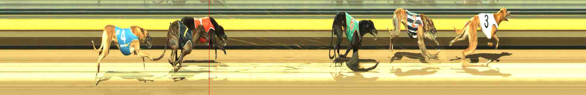 Photo finish for Horsham Race 6