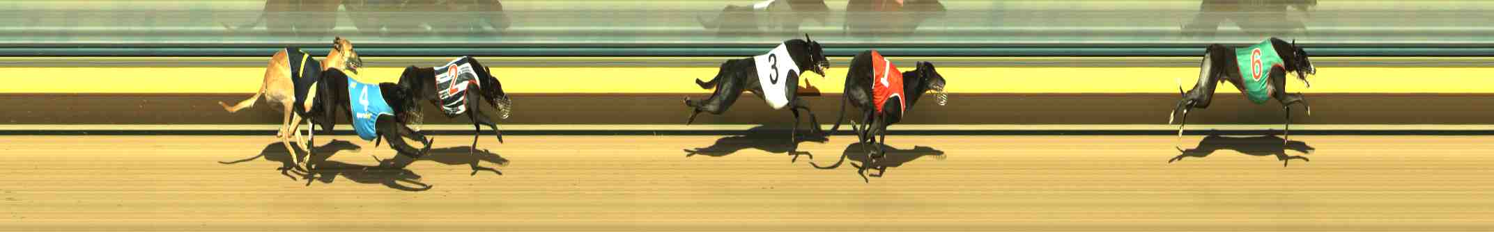 Photo finish for Horsham Race 8