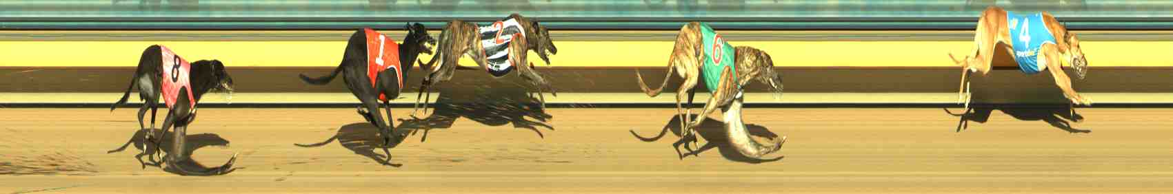 Photo finish for Horsham Race 9