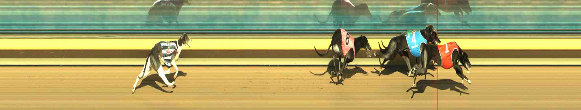 Photo finish for Horsham Race 10