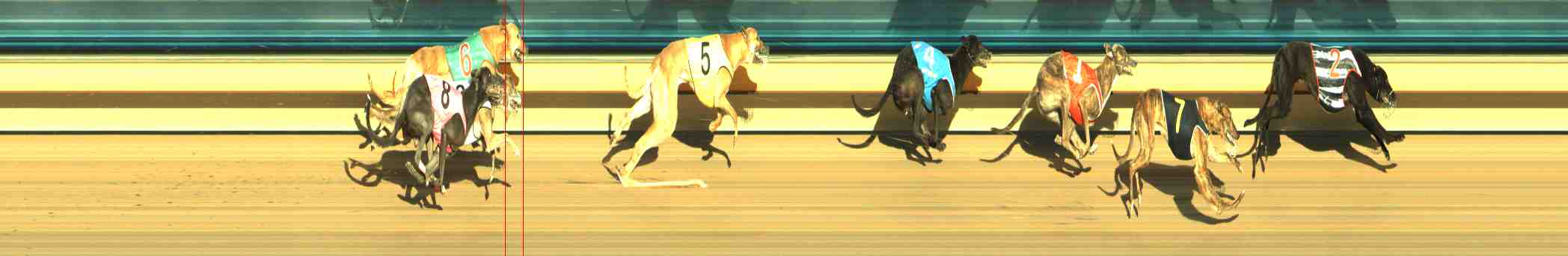 Photo finish for Horsham Race 11