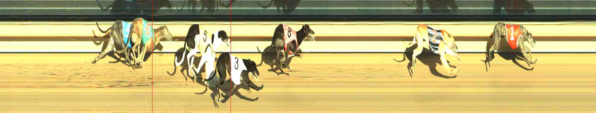 Photo finish for Horsham Race 12