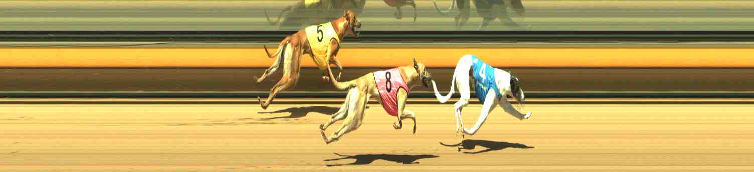 Race result finish photo