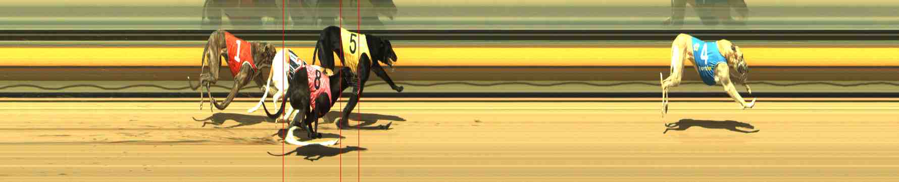 Photo finish for Horsham Race 2