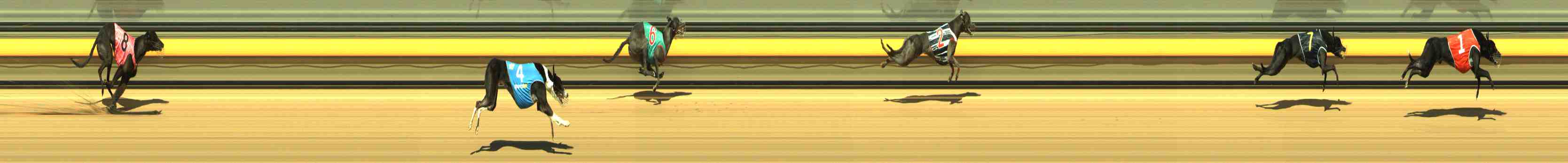 Photo finish for Horsham Race 3