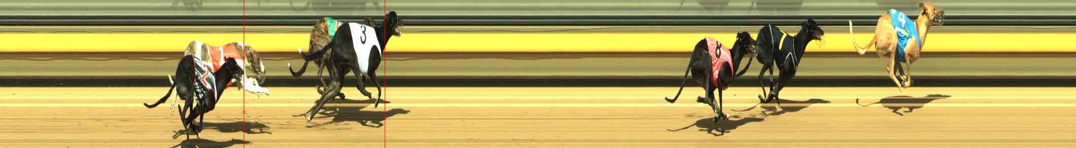 Photo finish for Horsham Race 4