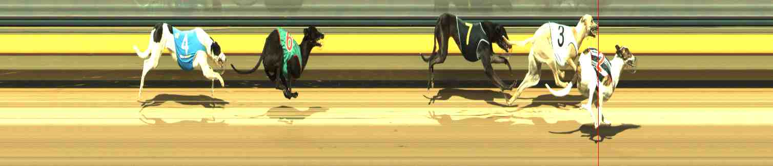 Photo finish for Horsham Race 5
