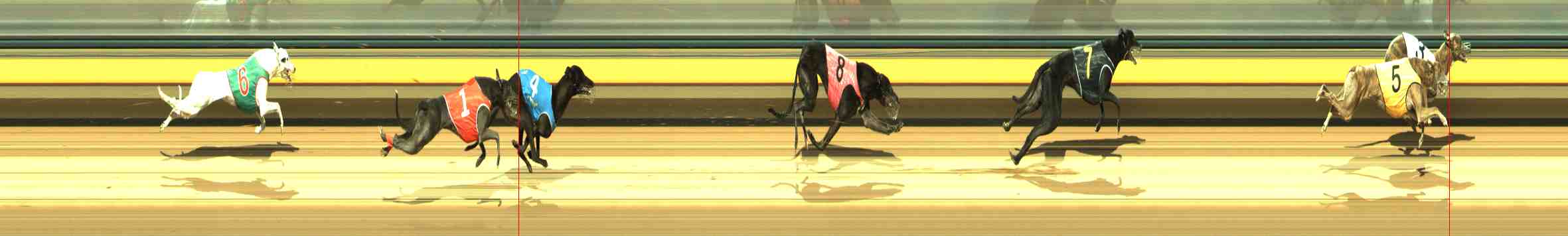 Photo finish for Horsham Race 6
