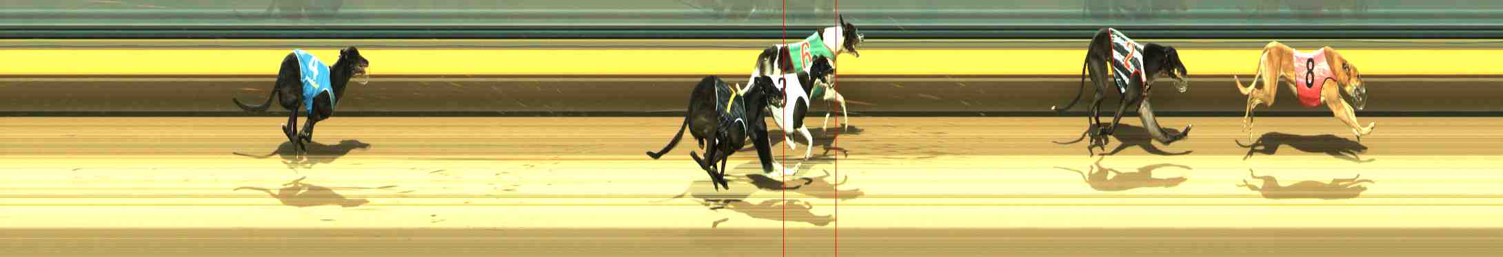 Photo finish for Horsham Race 7