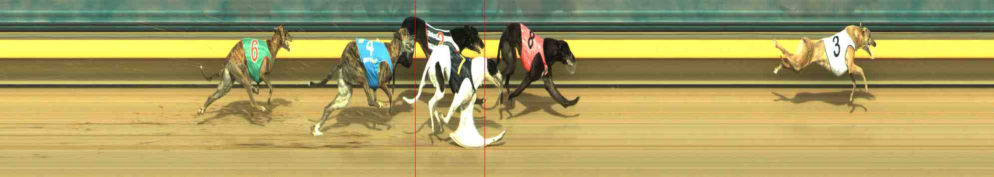 Photo finish for Horsham Race 8