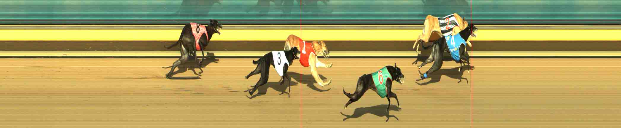 Photo finish for Horsham Race 9