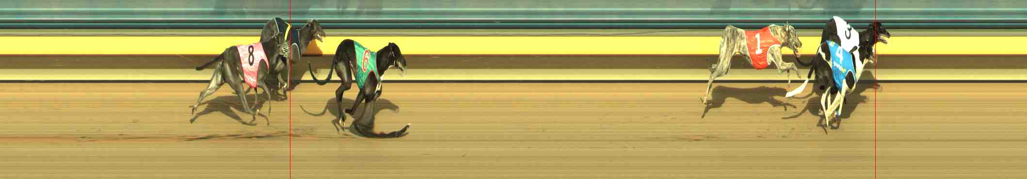 Photo finish for Horsham Race 10