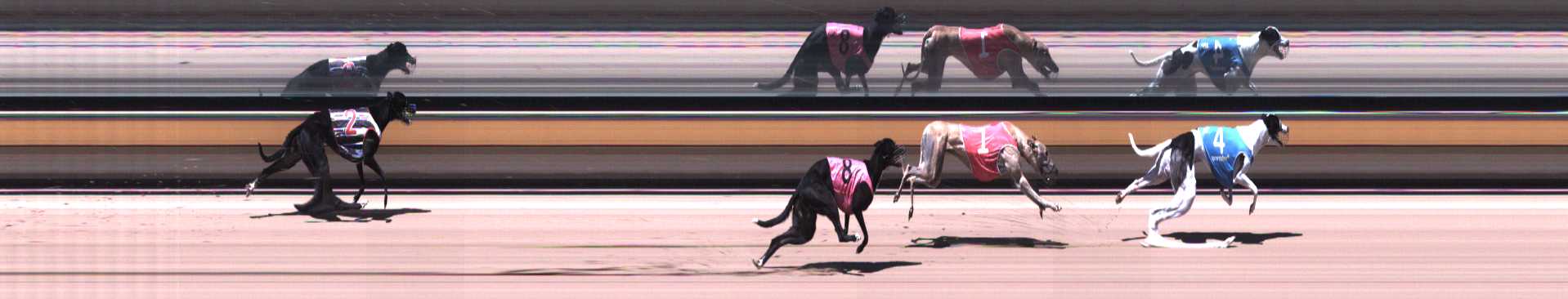 Race result finish photo