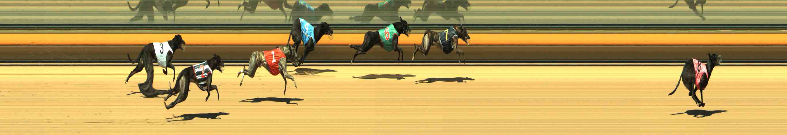 Race result finish photo