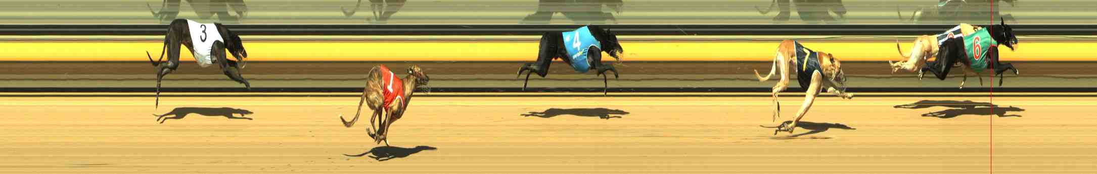 Race result finish photo