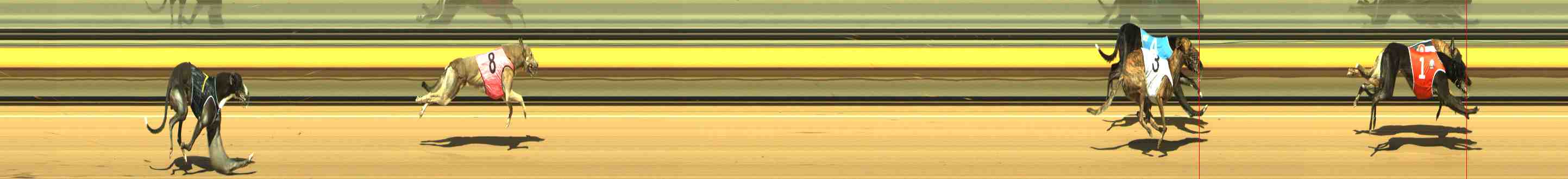 Race result finish photo