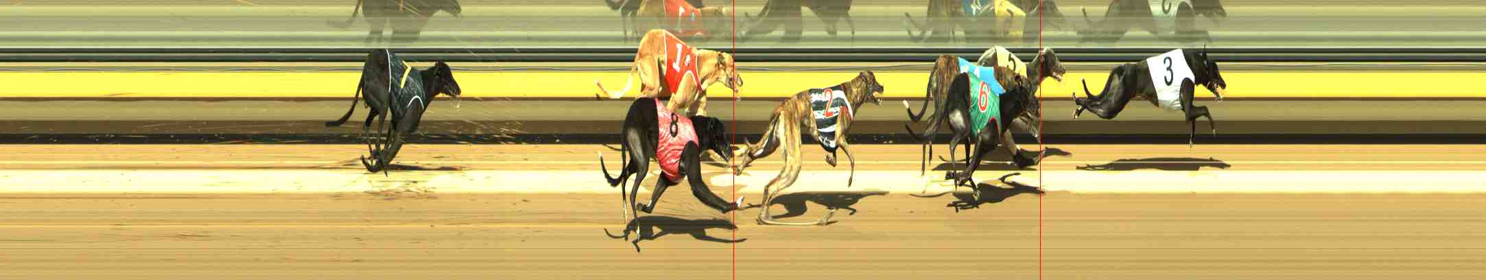 Race result finish photo