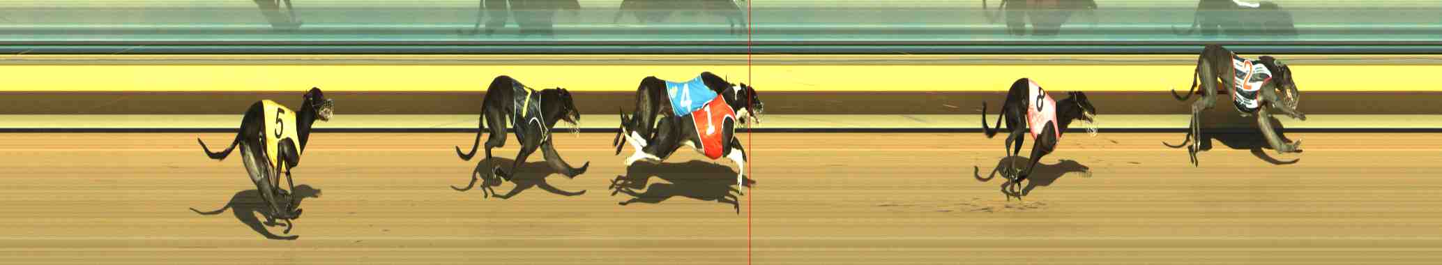 Race result finish photo