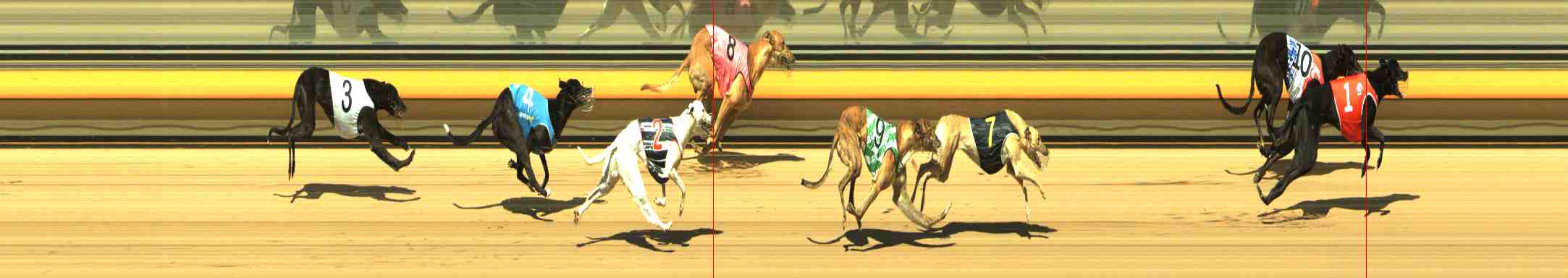 Photo finish for Horsham Race 1