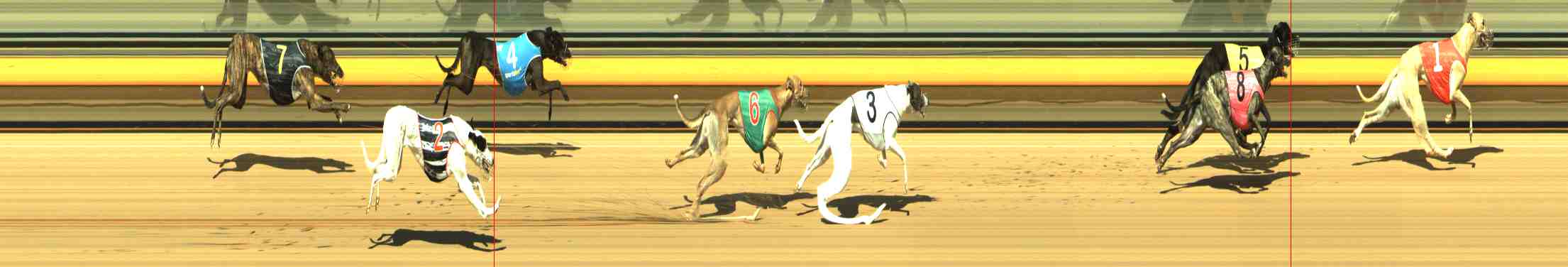 Photo finish for Horsham Race 2
