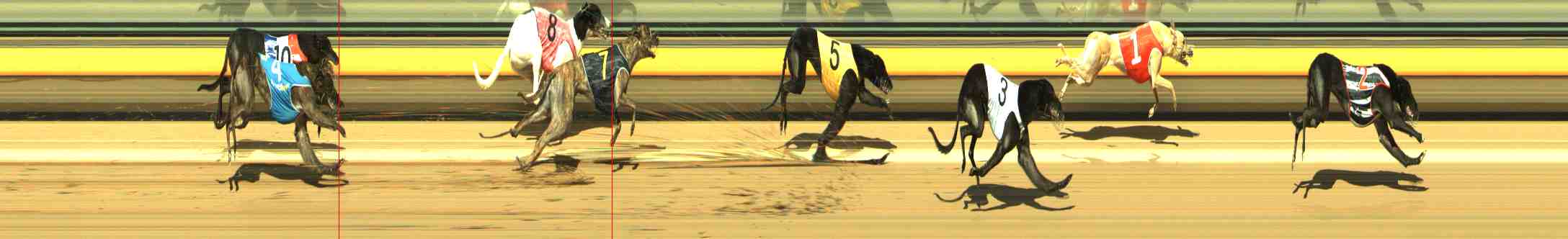 Photo finish for Horsham Race 4