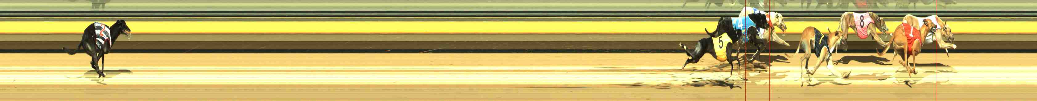 Photo finish for Horsham Race 5