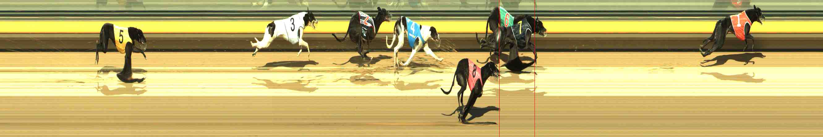 Photo finish for Horsham Race 6