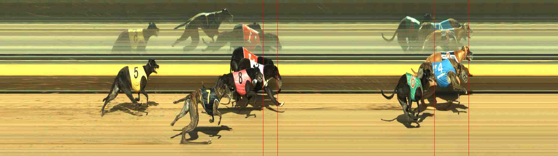 Photo finish for Horsham Race 7