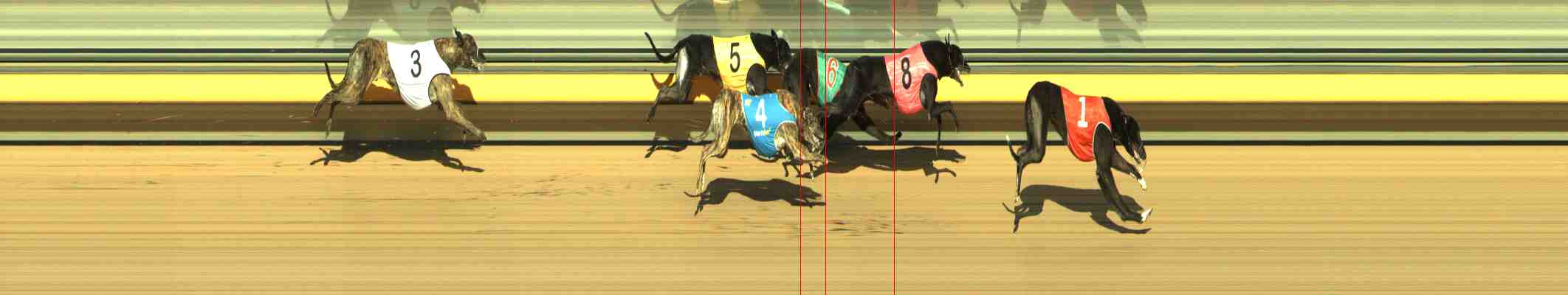 Photo finish for Horsham Race 8