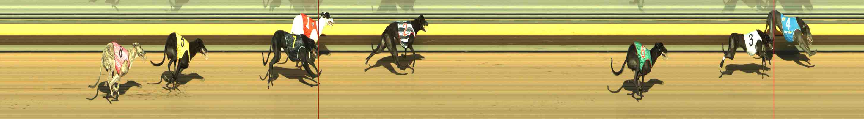 Photo finish for Horsham Race 9