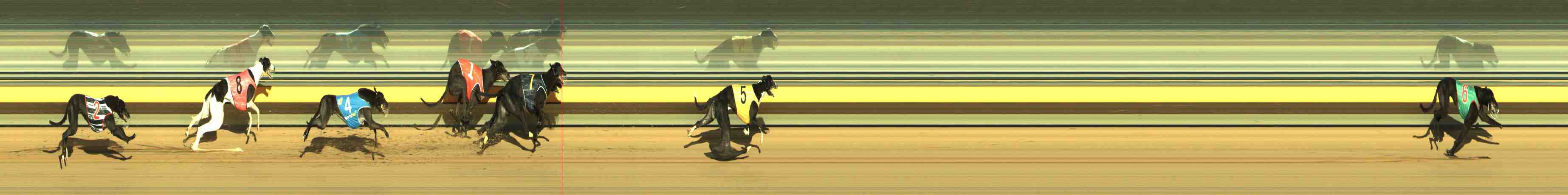 Photo finish for Horsham Race 10