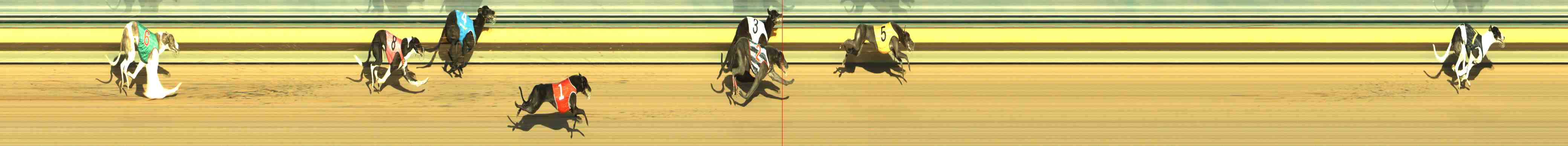 Photo finish for Horsham Race 11