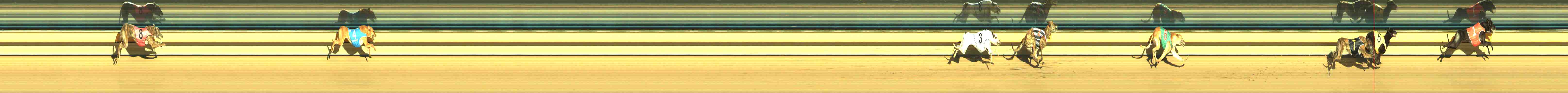 Photo finish for Horsham Race 12
